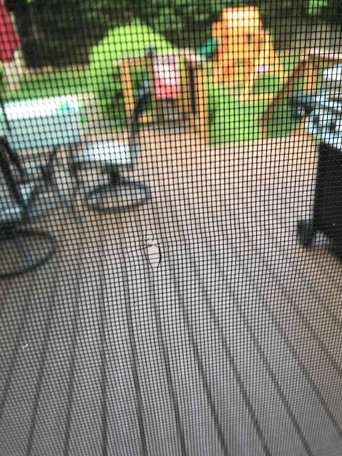 hole in screen.jpg
